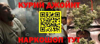 сатива Волгодонск