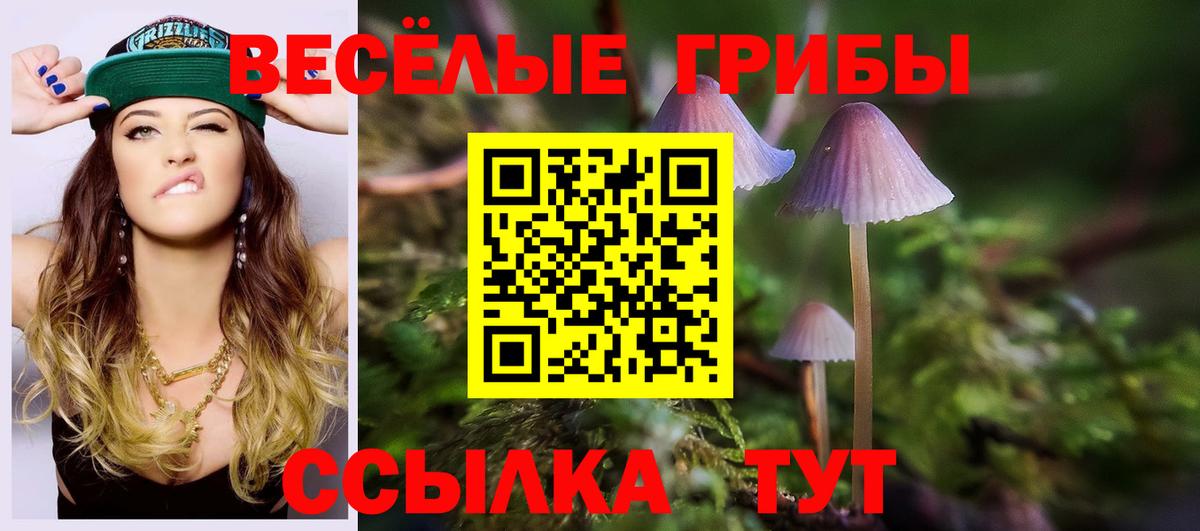 закладка  Вход с VPN  Тайшет  Галлюциногенные грибы Magic Shrooms 
